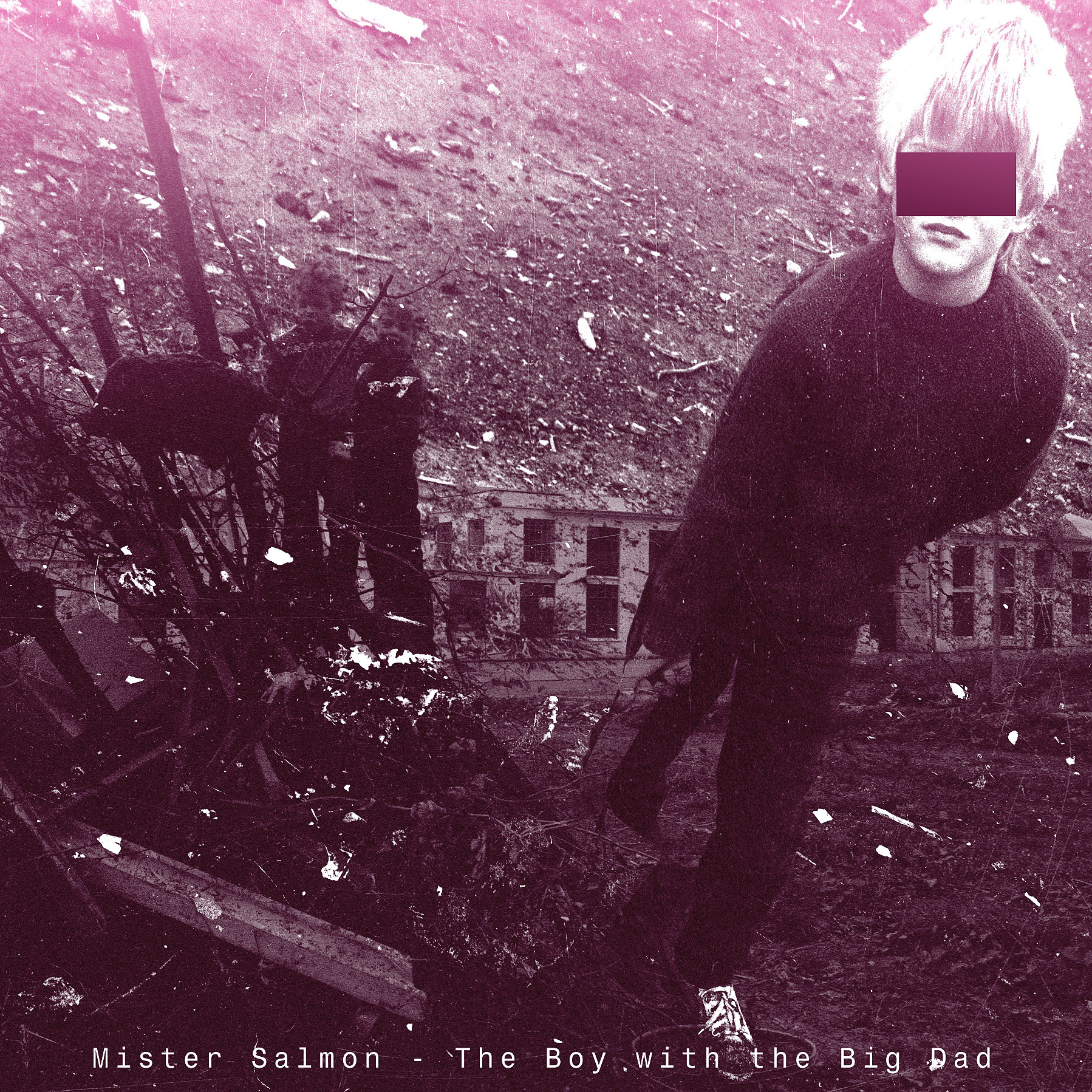 Mister Salmon ...in Yorkshirama (2010) - Track-image no. 3: 'The Boy with the Big Dad'
