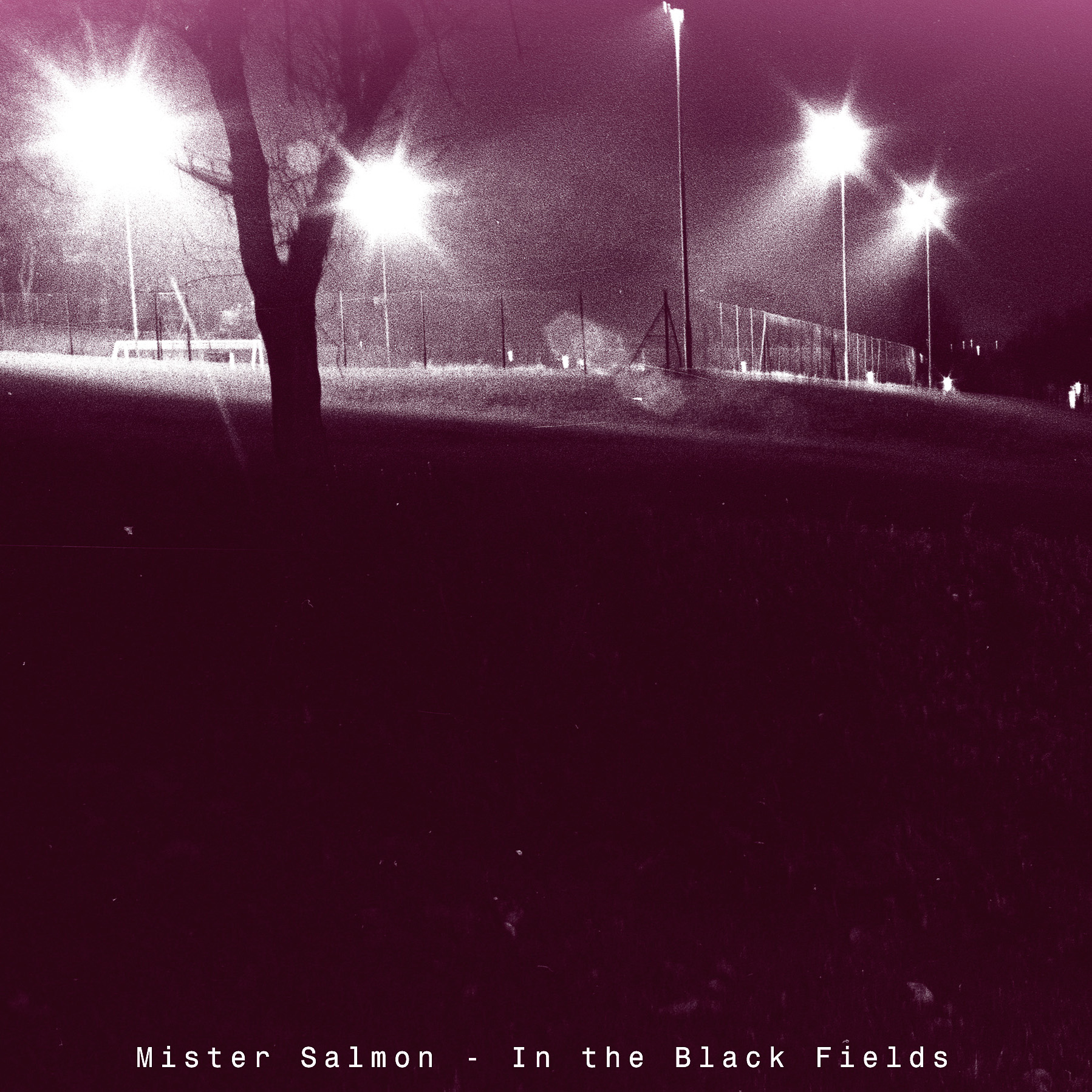 Mister Salmon ...in Yorkshirama (2010) - Track-image no. 6: 'In the Black Fields